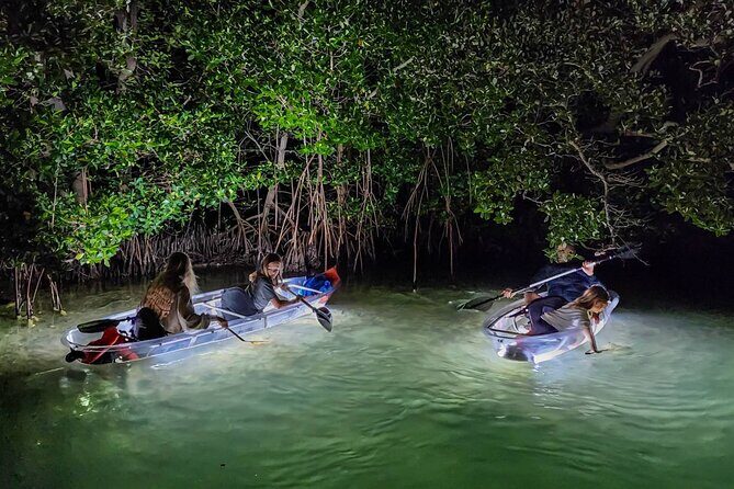 Siesta Key, FL - Clear Kayak LED Night Glass Bottom Tour - The Equipment and Group Size