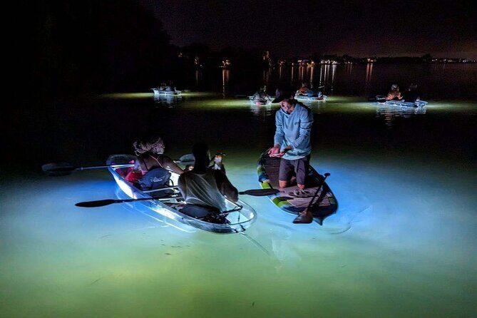 Siesta Key, FL - Clear Kayak LED Night Glass Bottom Tour - Final Thoughts: Who Will Love This Tour?