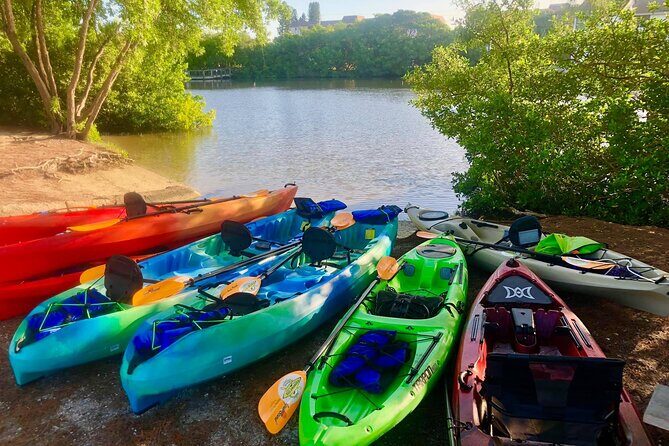 Siesta Key Guided Eco Tour - Value and Cost Analysis