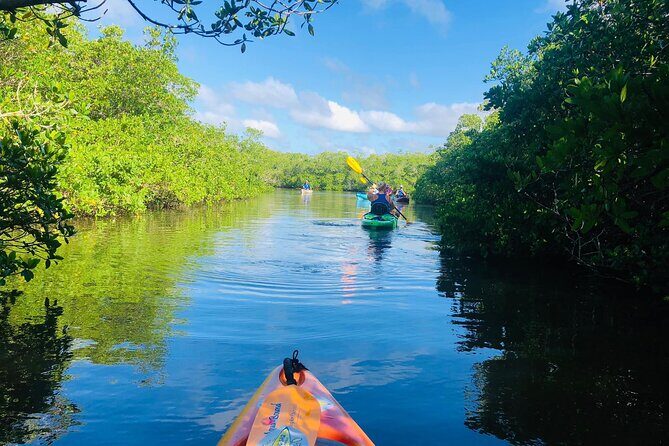 Siesta Key Guided Eco Tour - Final Thoughts: Who Should Consider This Tour?