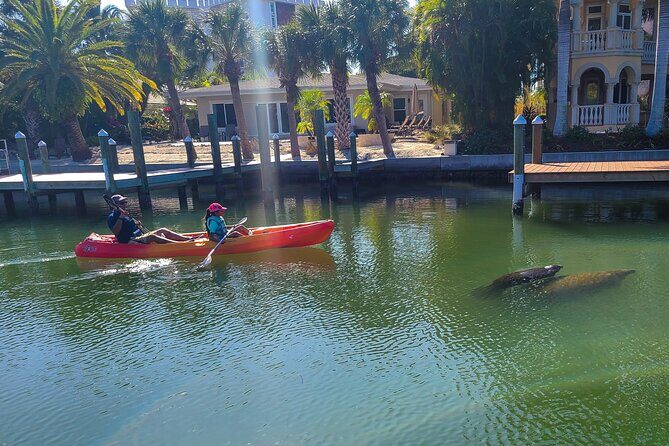Siesta Key Kayak Tour - Key Points