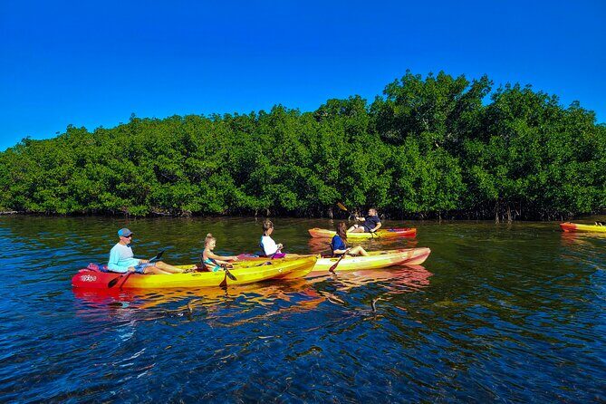 Siesta Key Kayak Tour - A Detailed Look at the Siesta Key Kayak Tour