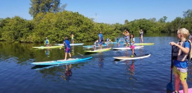Siesta Key: Mangrove Kayak or Paddleboard Tour - An In-Depth Look at the Tour Experience