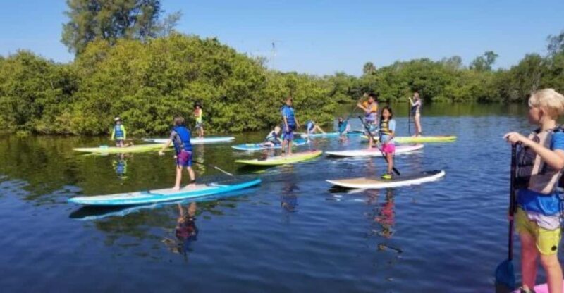 Siesta Key: Mangrove Kayak or Paddleboard Tour - Final Thoughts
