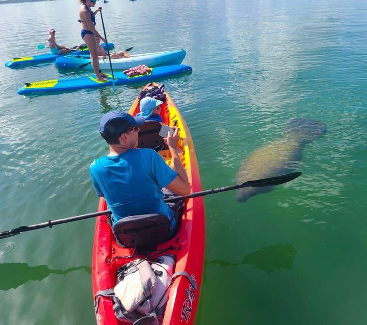 Siesta Key: Mangrove Kayak or Paddleboard Tour - FAQ