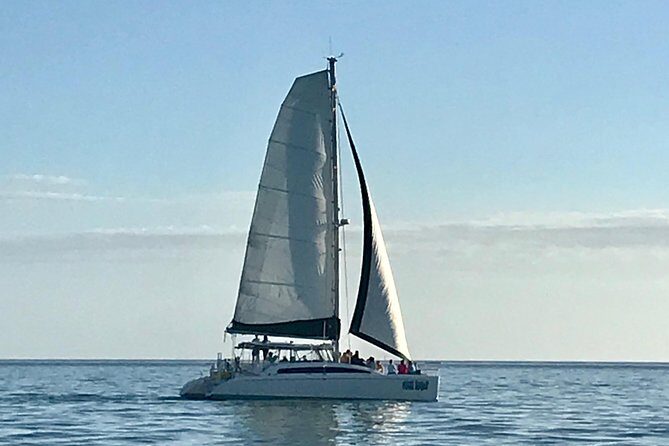 Sightseeing and Sunset Catamaran Sailing Excursion - The Itinerary in Detail