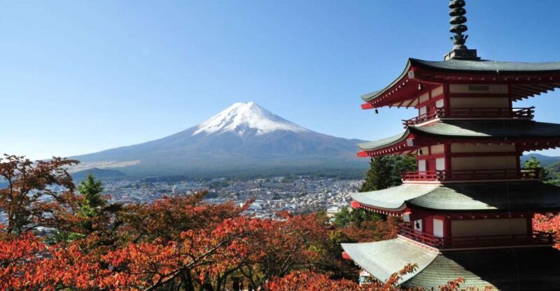 Sightseeing Day Trip to Mount Fuji and Hakone Green Number - A Closer Look at the Tour Experience