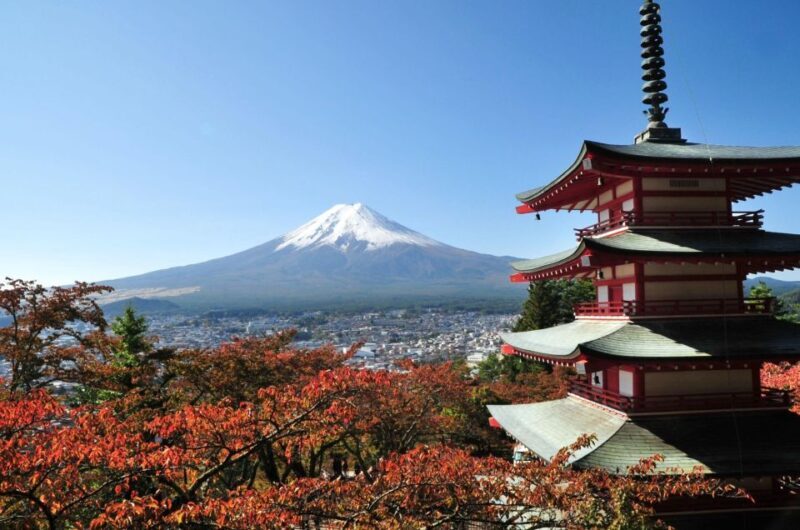 Sightseeing Day Trip to Mount Fuji and Hakone Green Number - Final Thoughts