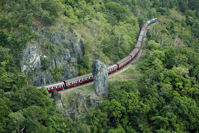 Sightseeing Kuranda Self-Driving Tour - Practical Tips for Making the Most of This Tour