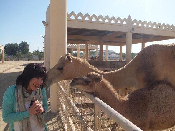 Sightseeing tour in Kingdom of Bahrain -Private tour only - Key Points