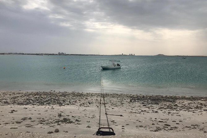 Sightseeing tour in Kingdom of Bahrain -Private tour only - Who Should Book This Tour?