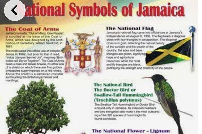 Sightseeing Tour in Ocho Rios - The Itinerary in Detail