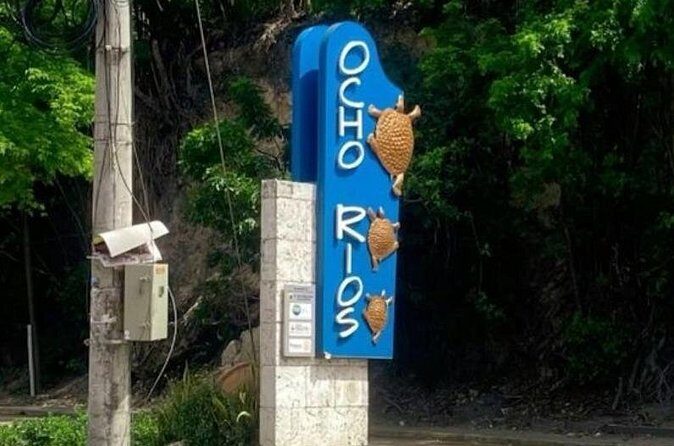Sightseeing Tour in Ocho Rios - The Sum Up: Who Is This Tour Best For?