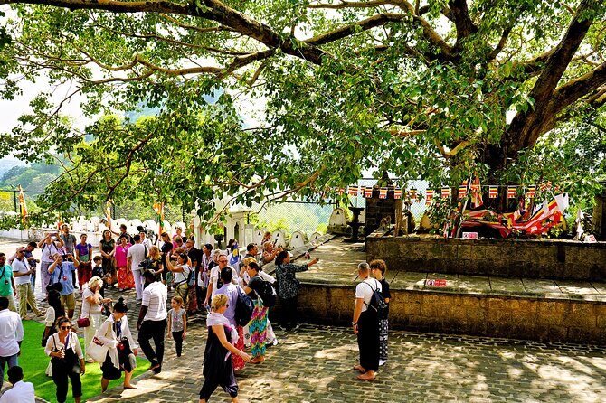 Sigiriya and Dambulla day trip, the cream of Sri Lankan heritage - Who will love this tour?