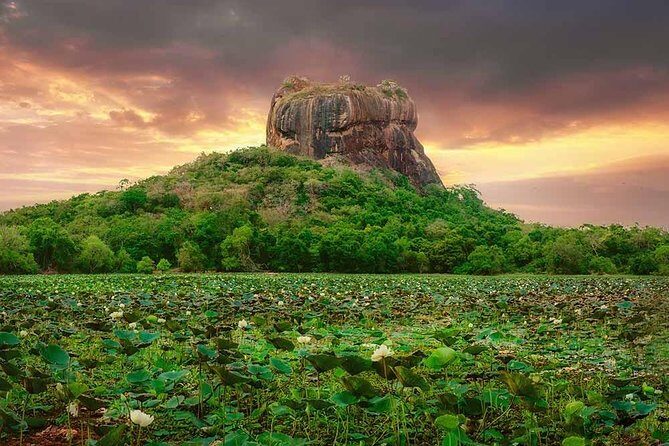 Sigiriya and Dambulla Tour (All Inclusive) - The Sum Up
