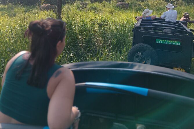 Sigiriya Dambulla Wonders Day Trip from Kandy - What You Can Expect from the Tour