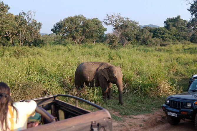 Sigiriya Dambulla Wonders Day Trip from Kandy - Practical Tips for Making the Most of This Tour