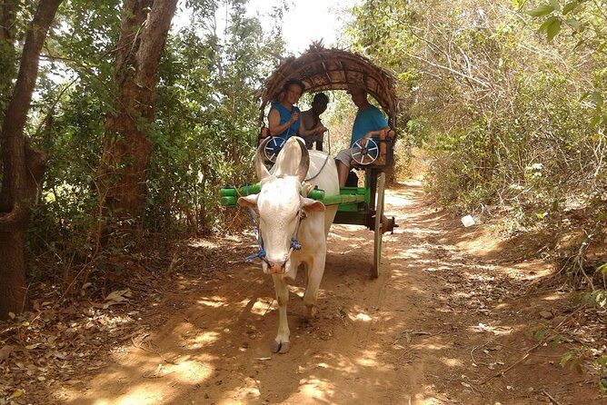Sigiriya Day Tour - Dambulla Cave Temple - Frequently Asked Questions