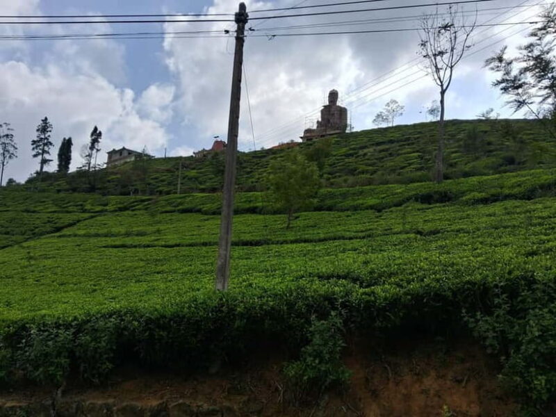Sigiriya, Kandy, Ella : Explore Sri Lanka's Attractions Tour - Key Points