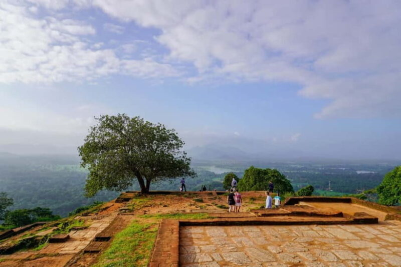 Sigiriya Lion Rock Hike & Minneriya National Park Safari - FAQ