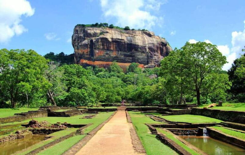 Sigiriya Lion Rock & Minneriya National Park Elephant Safari - Wildlife Safari in Minneriya National Park