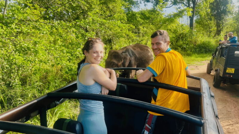 Sigiriya Lion Rock & Minneriya National Park Elephant Safari - Logistics and Practicalities