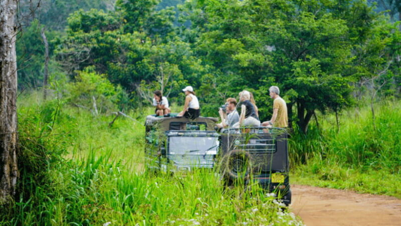 Sigiriya Lion Rock & Minneriya National Park Elephant Safari - The Sum Up