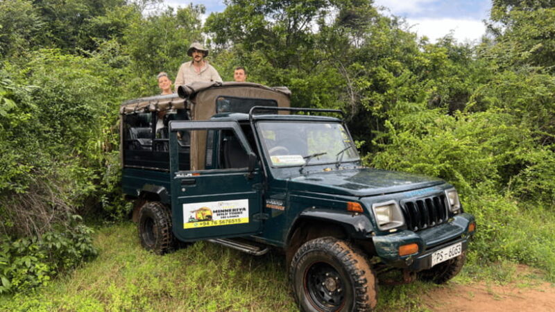 Sigiriya Lion Rock & Minneriya National Park Elephant Safari - FAQ