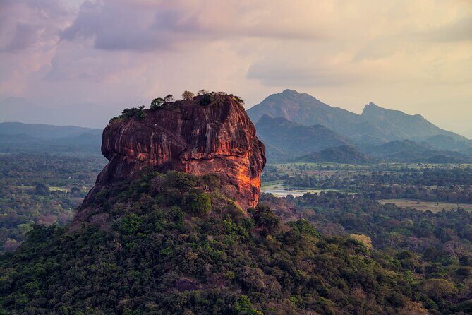 Sigiriya Rock and Wild Elephant Safari from Sigiriya - Key Points