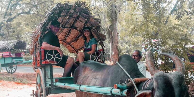 Sigiriya Village Tour and Lunch - The Value of the Experience