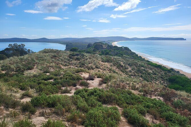 Signature Bruny Island Tour - Hobart & SE Tasmania - Discovering Bruny Island: An Honest Look at the Signature Tour