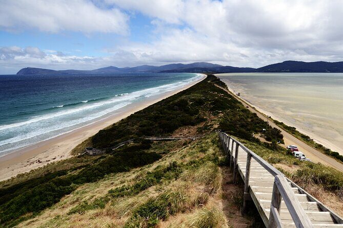 Signature Bruny Island Tour - Hobart & SE Tasmania - Who Should Consider This Tour?