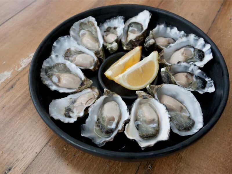 Signature Bruny Island Tour - Hobart & SE Tasmania - Authentic Experiences and What You’ll Remember