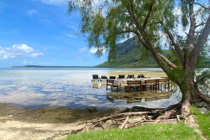 Signature Experience: Dolphins and Flavors of the Sea - Why This Tour Works Well for Travelers