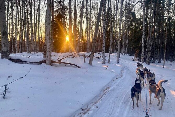 Signature Ridge Top Mush - The Itinerary: What You Can Expect from Start to Finish