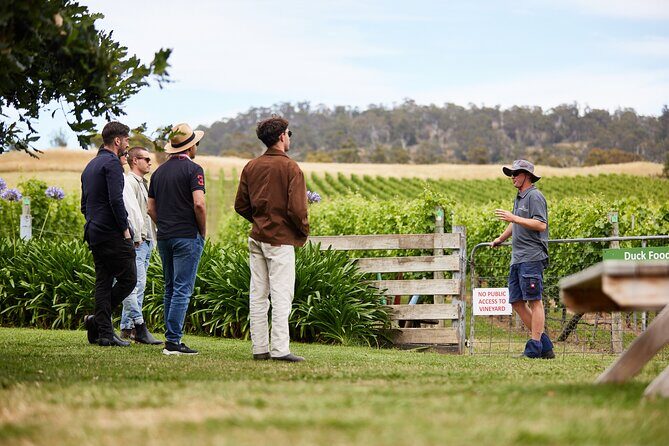 Signature Saturday Wine Tour - Final thoughts