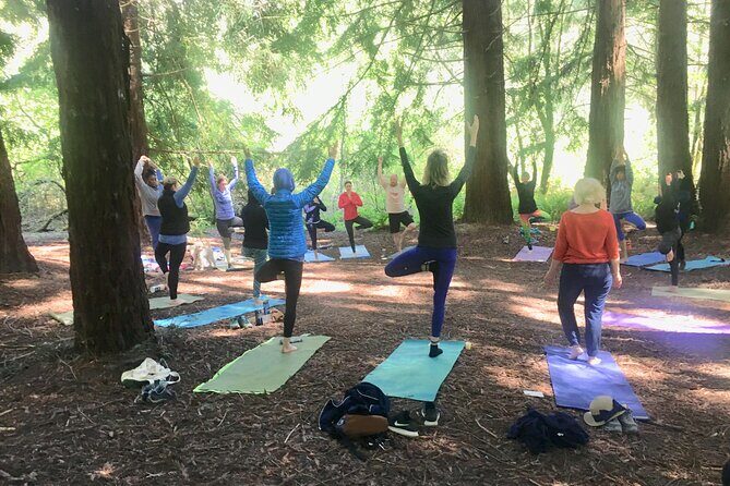 Silent Disco Style Yoga Class in Lake Merritt Pergola - FAQs