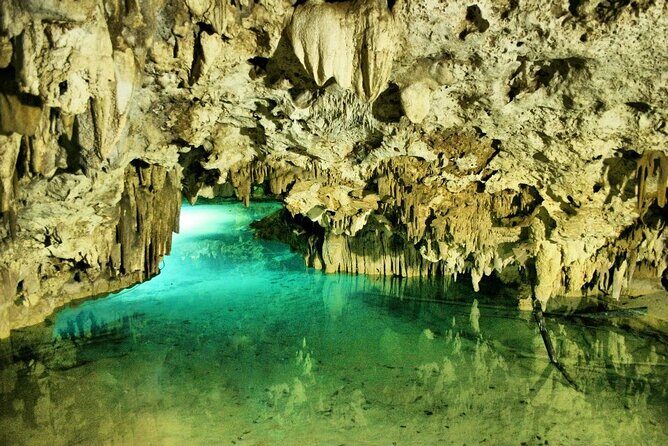 Silent Meditation in the Heart of the Cenote - Private groups - Final Thoughts: Who Will Love This Tour?