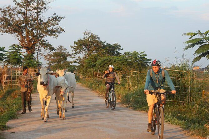 Silk Island at Twilight Cycle Encounter - Key Points