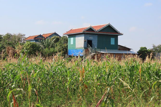 Silk Island & countryside of Phnom Penh by Tuk Tuk - A Complete Look at the Experience
