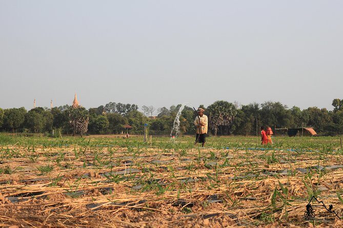 Silk Island & countryside of Phnom Penh by Tuk Tuk - Final Thoughts: Who Should Consider This Tour?