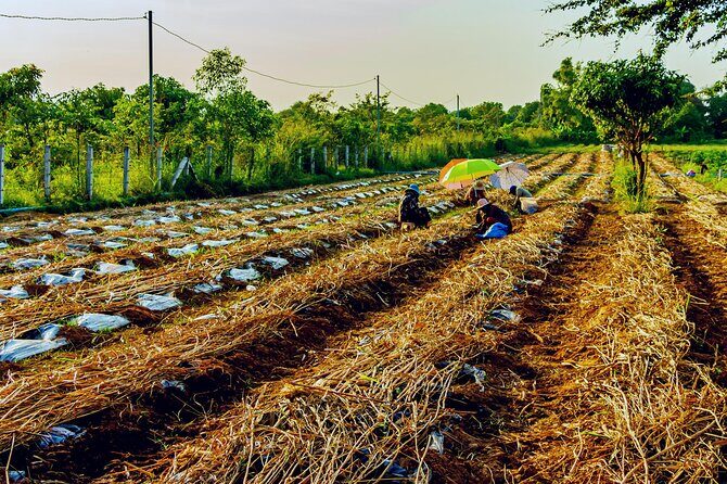 Silk Island Private Half-Day Tour from Phnom Penh - FAQ