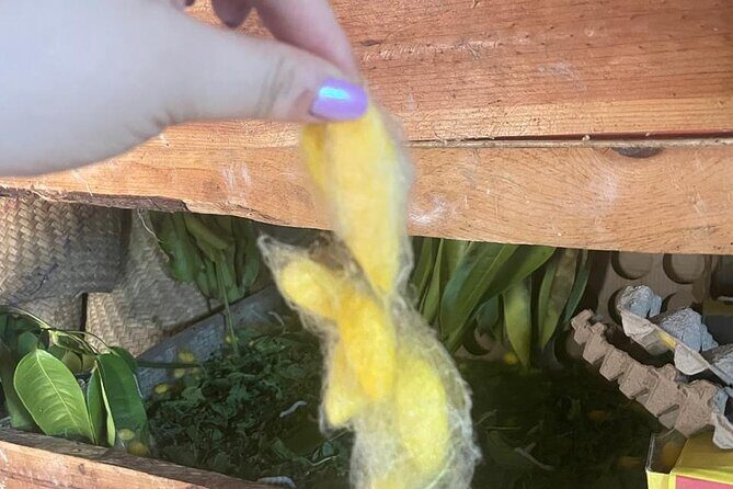 Silkworm and Maguey in the Sierra Norte - An Honest Look at the Experience