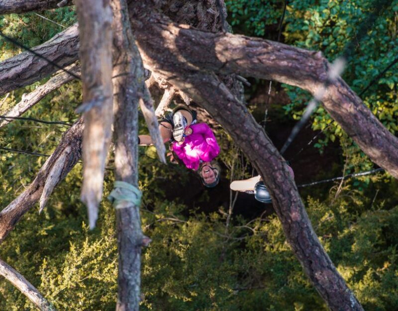 Silver Falls: Old-Growth Tree Climbing Adventure - Final Thoughts