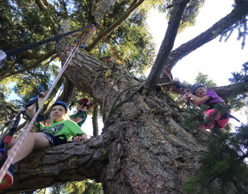 Silver Falls: Old-Growth Tree Climbing Adventure - FAQ
