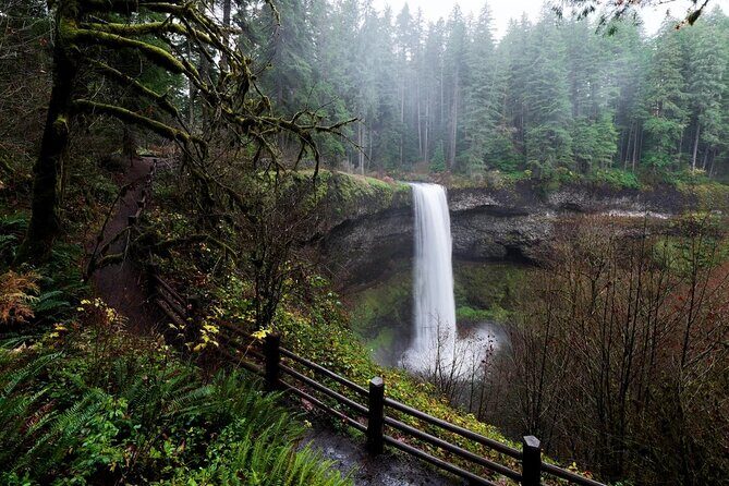Silver Falls Private Hike Tour - The Guide’s Role and the Personal Touch