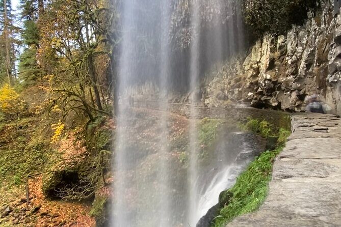 Silver Falls Waterfall Hiking Tour from Portland - An In-Depth Look at the Tour