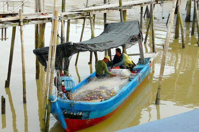 Silver Leaf Monkeys and Firefly Tour with Boat Ride and Seafood Dinner - Why This Tour Offers Good Value