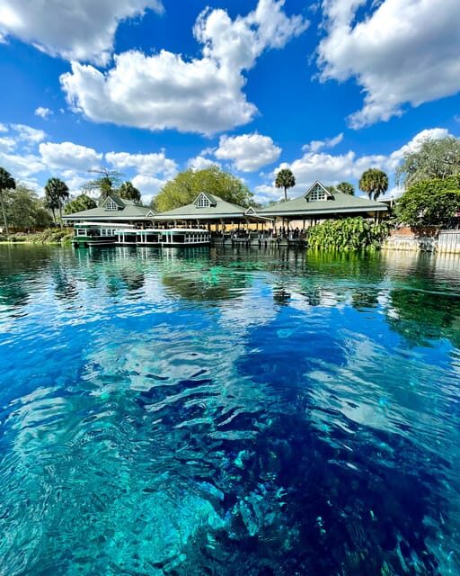 Silver Springs: Clear Kayak Wildlife Tour - An In-Depth Look at the Silver Springs Wildlife Kayak Tour