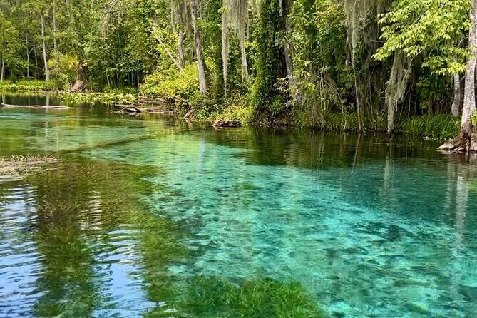 Silver Springs: Clear Kayaking Wildlife Tour - Discovering Silver Springs: What the Experience Looks Like